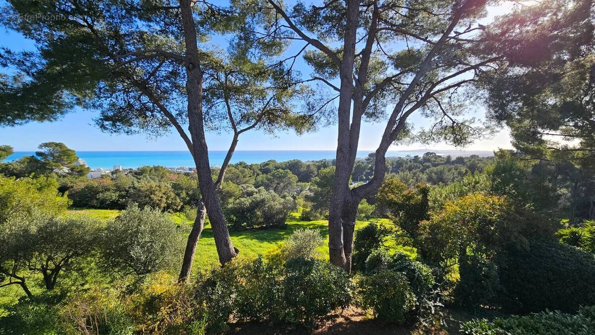 Appartement à VILLENEUVE-LOUBET