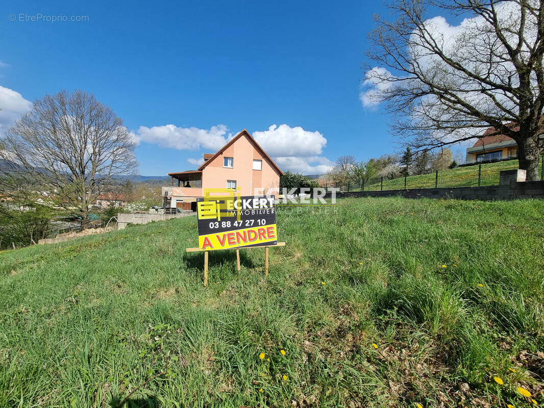 Terrain à NIEDERHASLACH