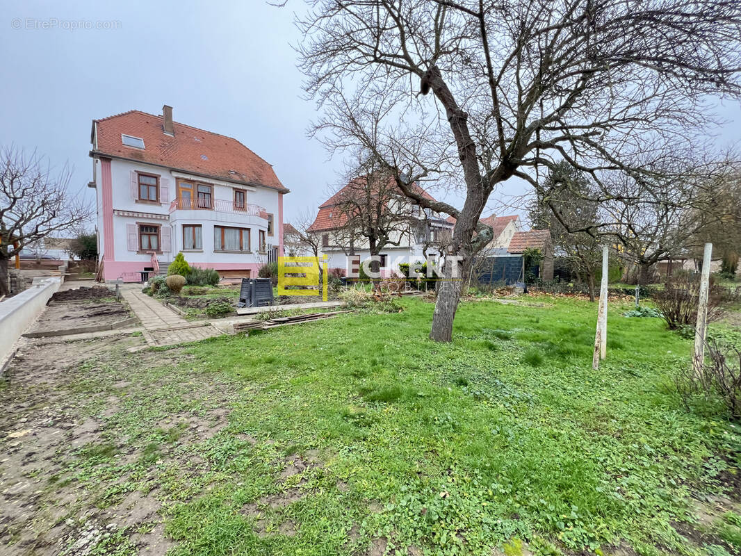 Maison à LINGOLSHEIM