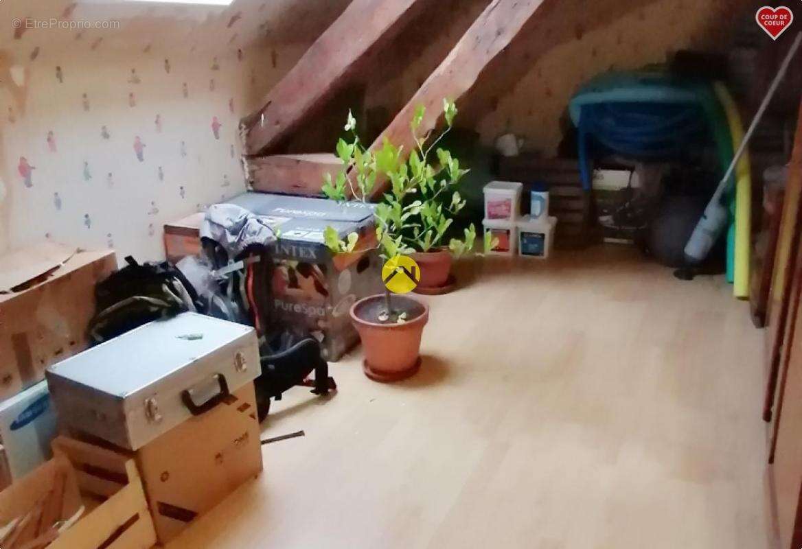 Appartement à VIERZON