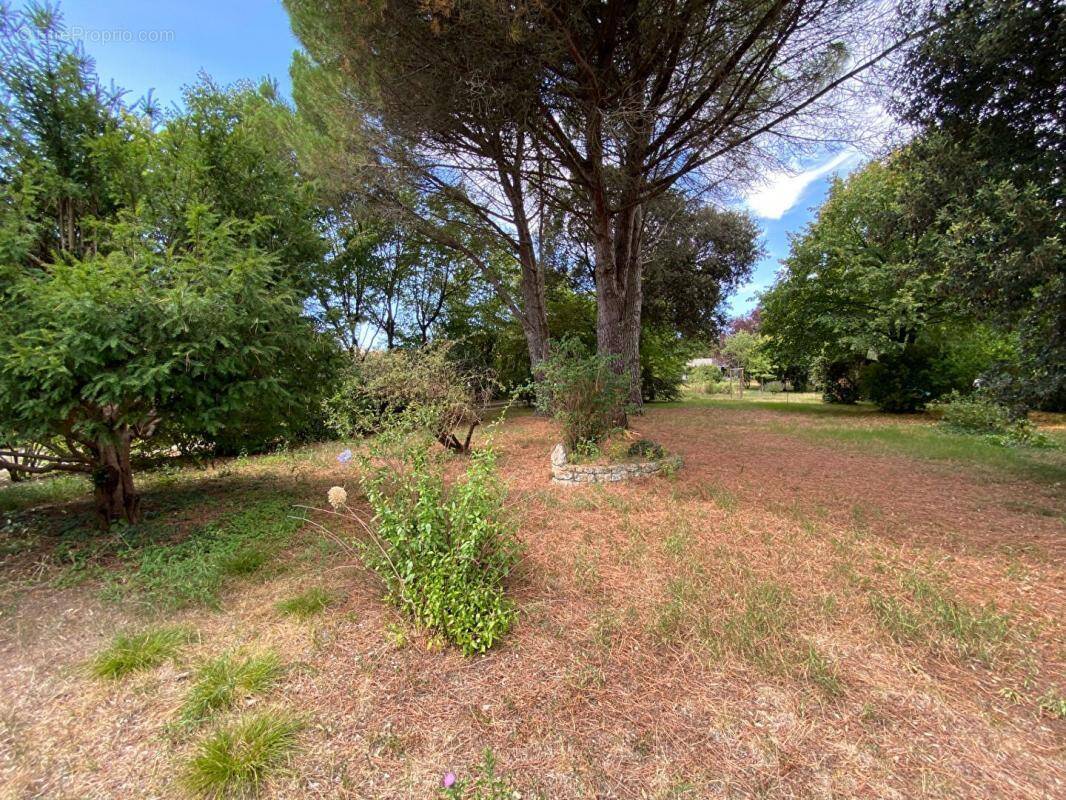 Terrain à NIEUL-SUR-MER