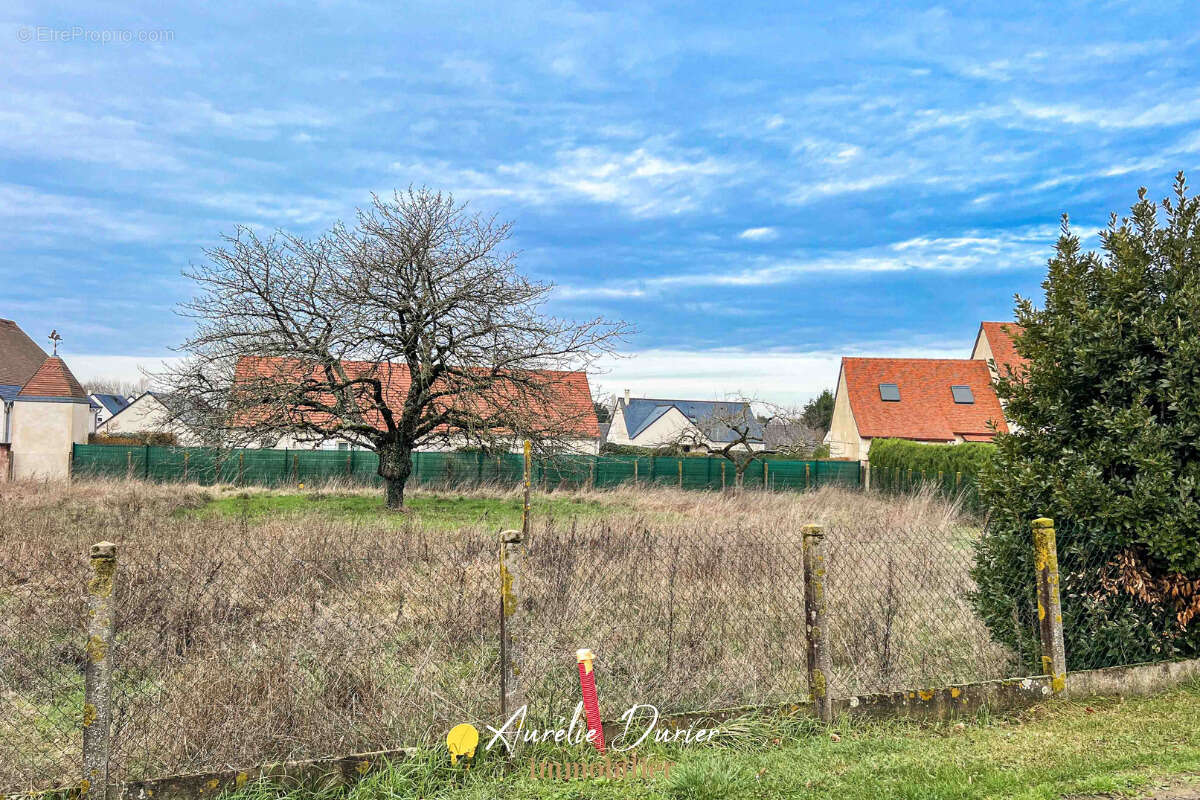 Terrain à SORIGNY