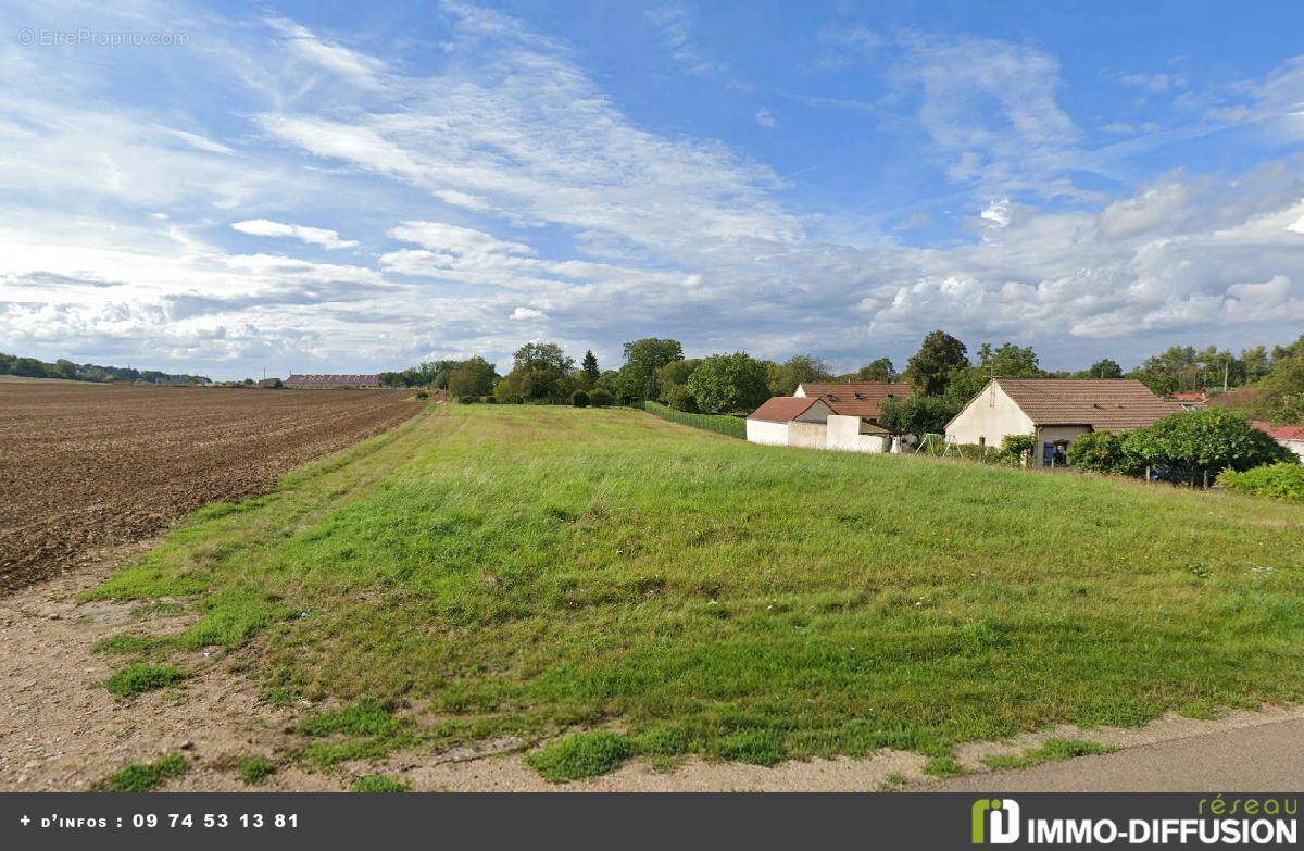 Terrain à CHAMPIGNY