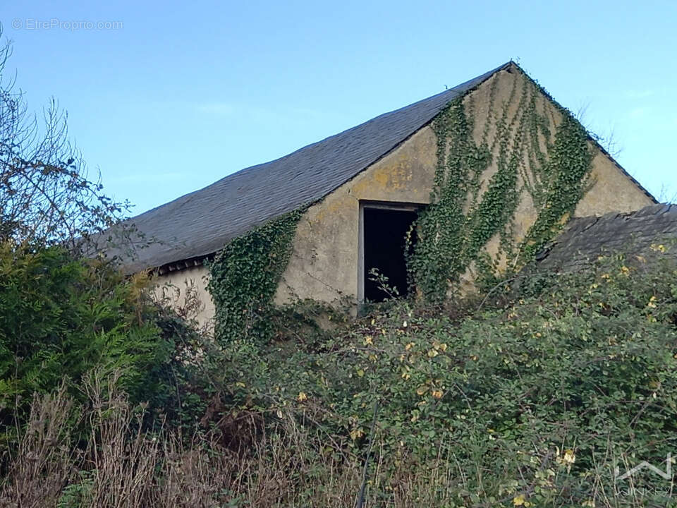 Maison à SAINT-MICHEL-ET-CHANVEAUX