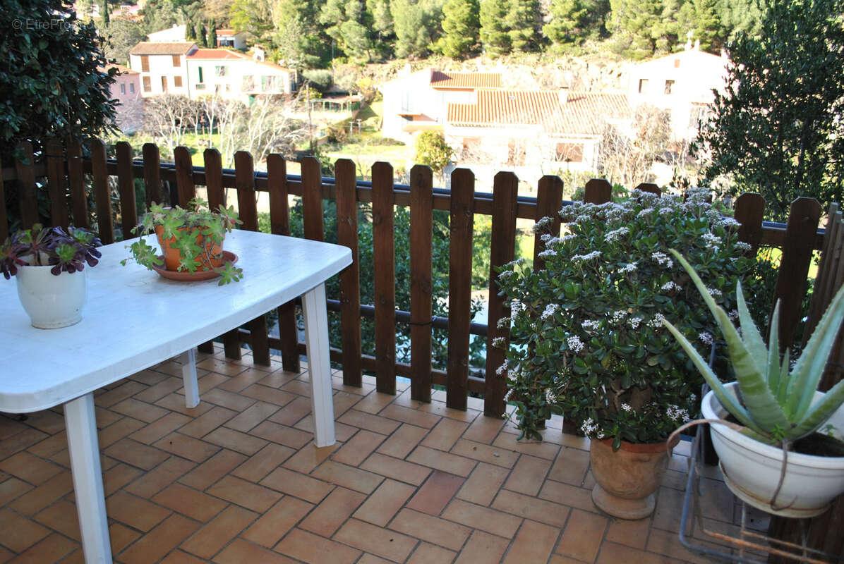 Appartement à COLLIOURE