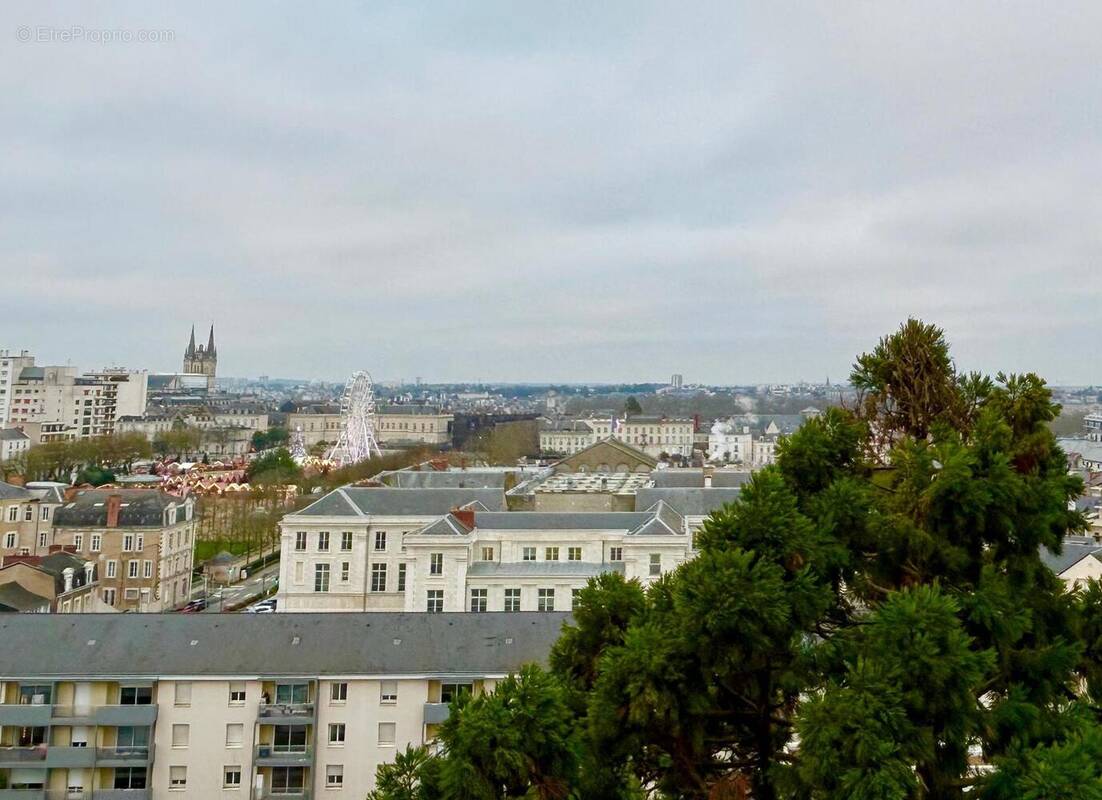   - Appartement à ANGERS