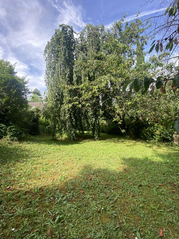 Maison à SAINT-DIDIER-AU-MONT-D&#039;OR