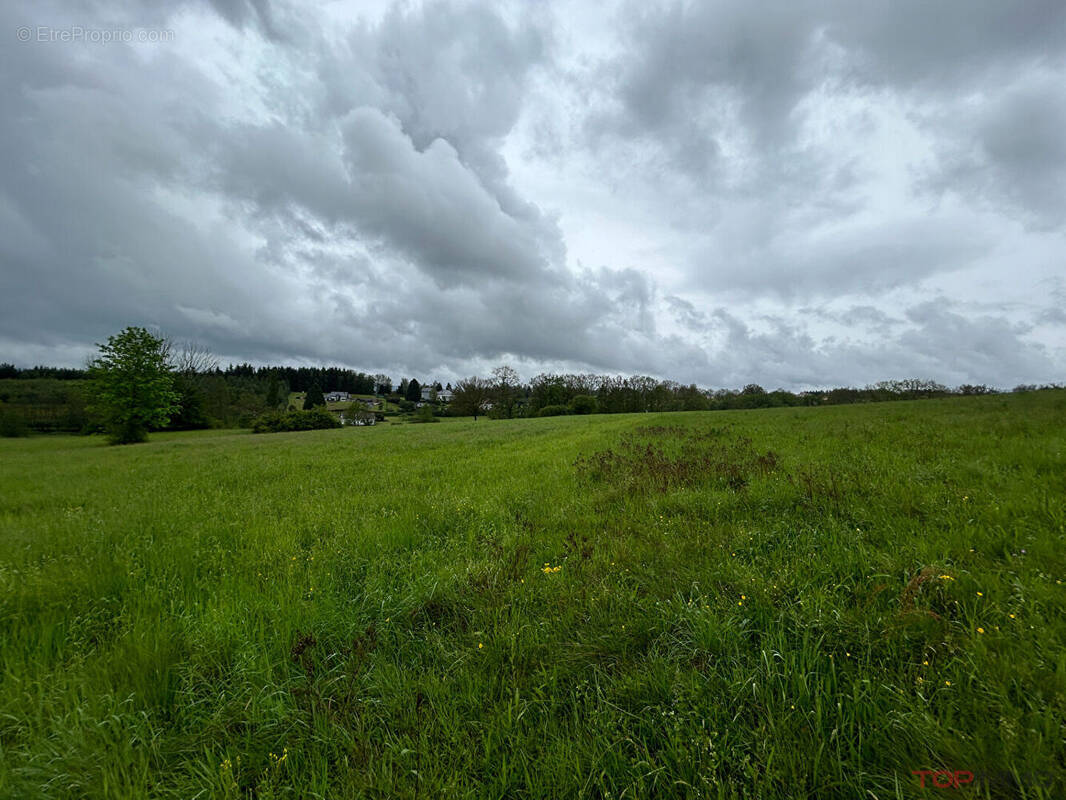 Terrain à SAULCY-SUR-MEURTHE