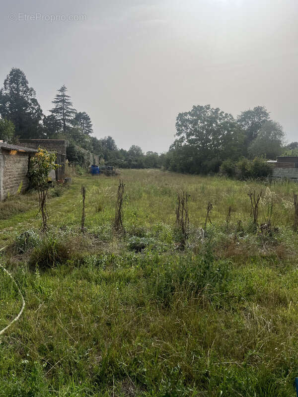 Terrain à NUEIL-LES-AUBIERS