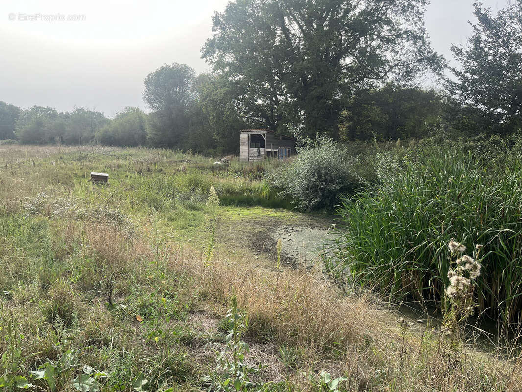 Terrain à NUEIL-LES-AUBIERS