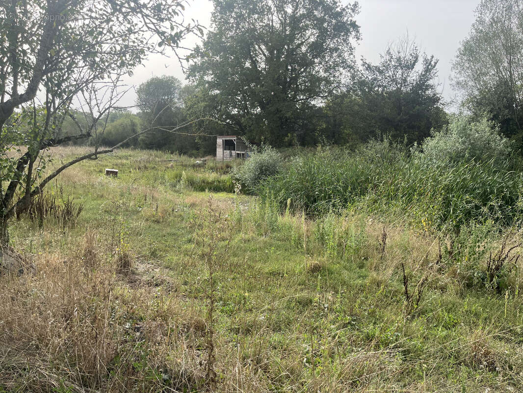 Terrain à NUEIL-LES-AUBIERS