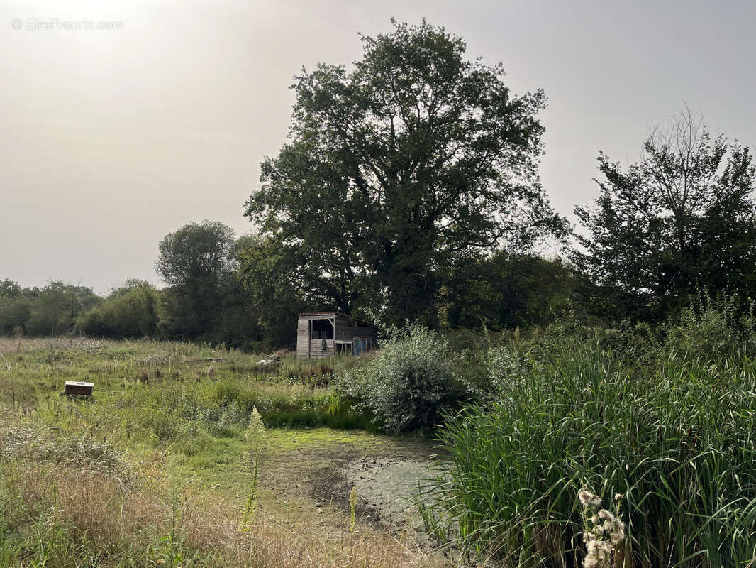 Terrain à NUEIL-LES-AUBIERS