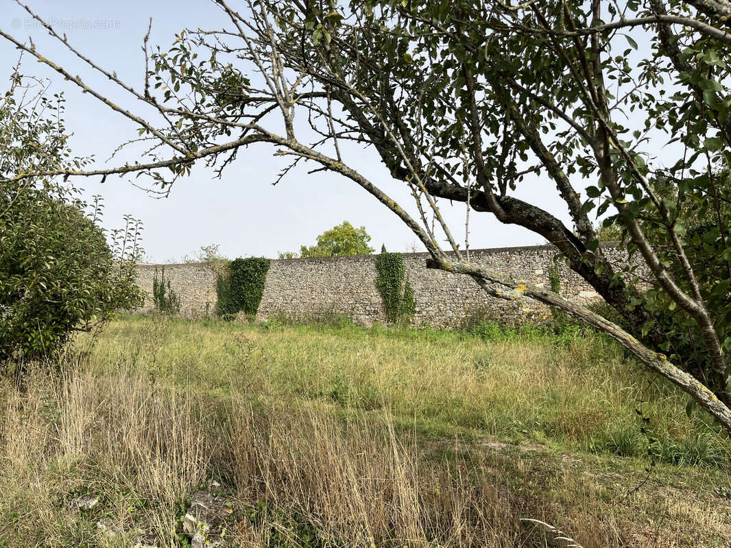 Terrain à NUEIL-LES-AUBIERS