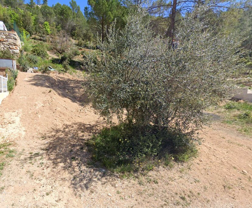 Terrain à VINS-SUR-CARAMY