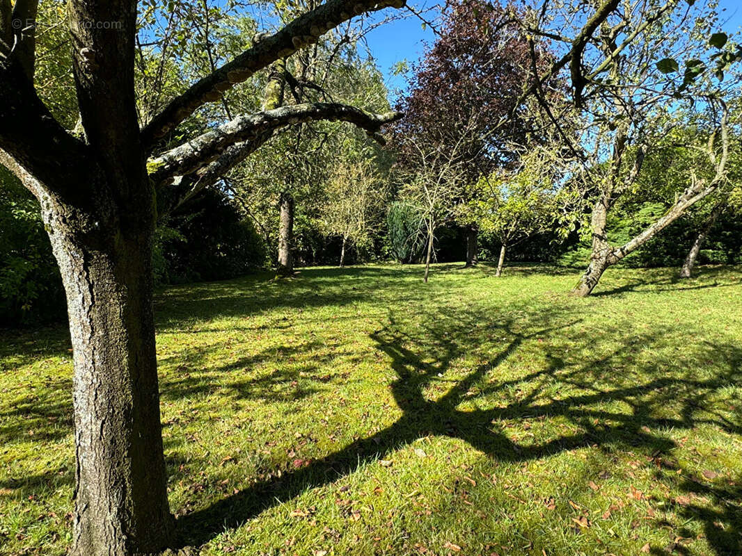 Terrain à SAILLY-LEZ-LANNOY