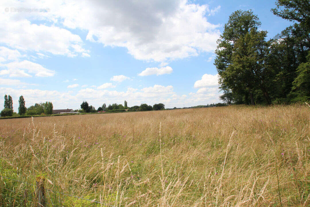 Terrain à SOUGY-SUR-LOIRE