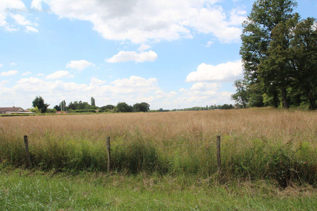 Terrain à SOUGY-SUR-LOIRE