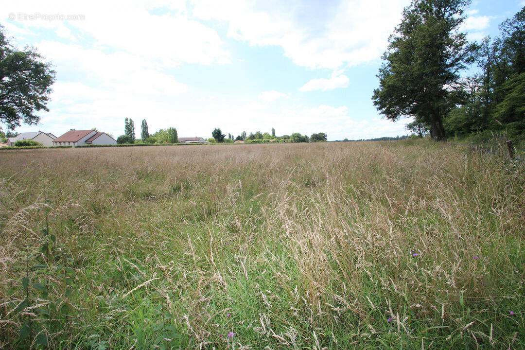 Terrain à SOUGY-SUR-LOIRE