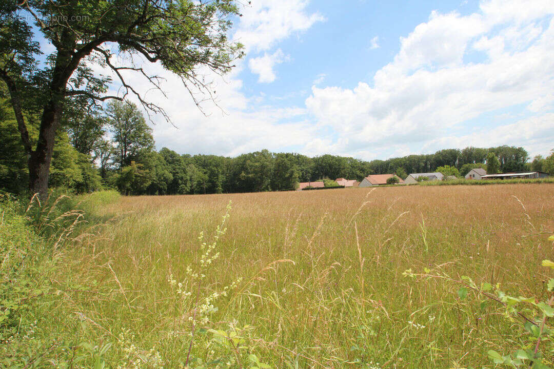 Terrain à SOUGY-SUR-LOIRE