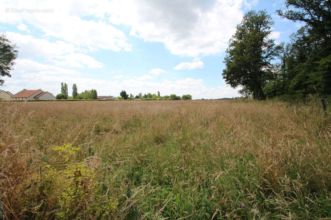 Terrain à SOUGY-SUR-LOIRE