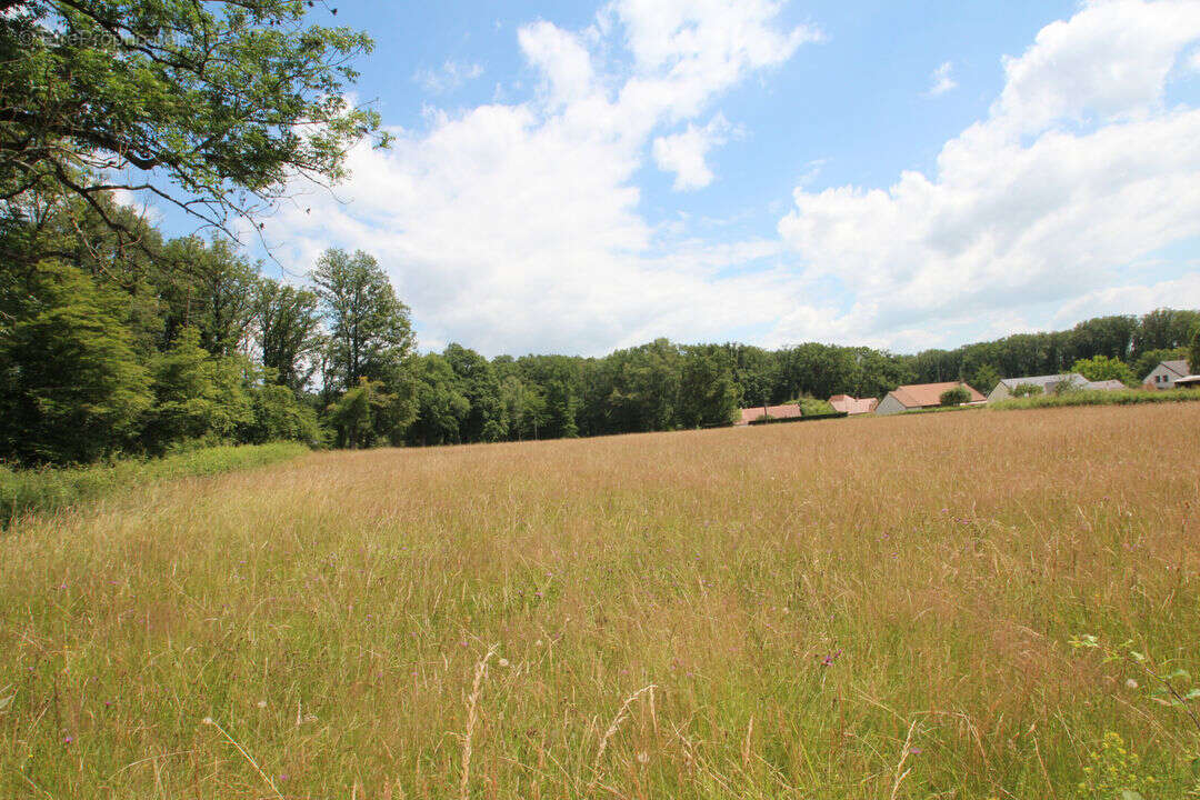 Terrain à SOUGY-SUR-LOIRE