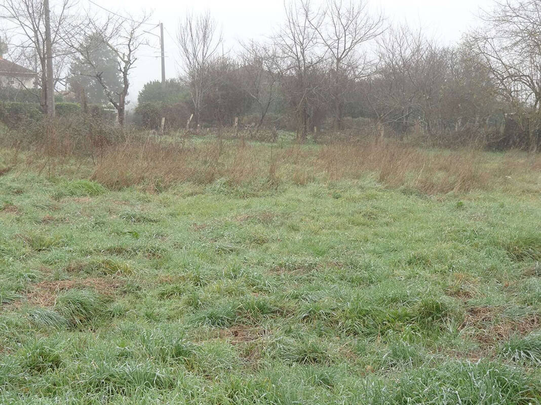 Terrain à DOUZILLAC