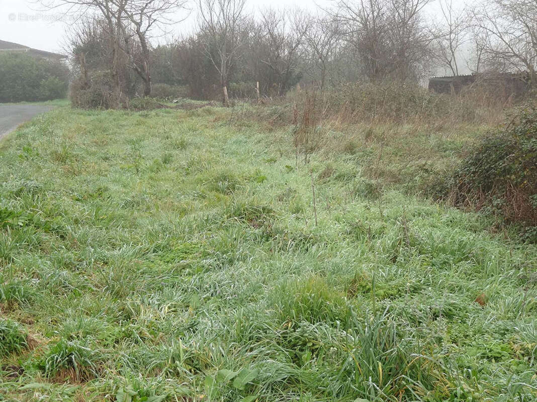 Terrain à DOUZILLAC