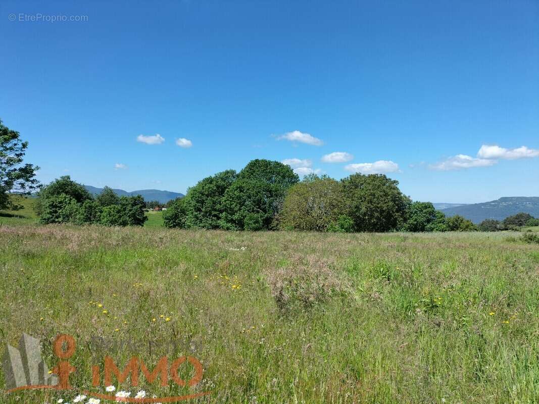 Terrain à SAINT-MAURICE-DE-LIGNON