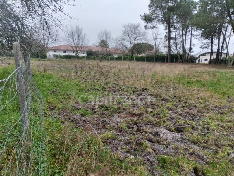 Terrain à SAINT-AUBIN-DE-MEDOC