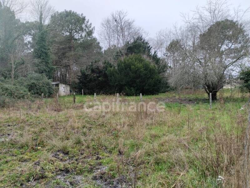 Terrain à SAINT-AUBIN-DE-MEDOC