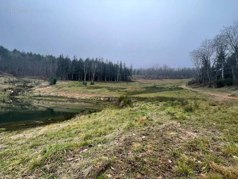 Terrain à AMBIERLE