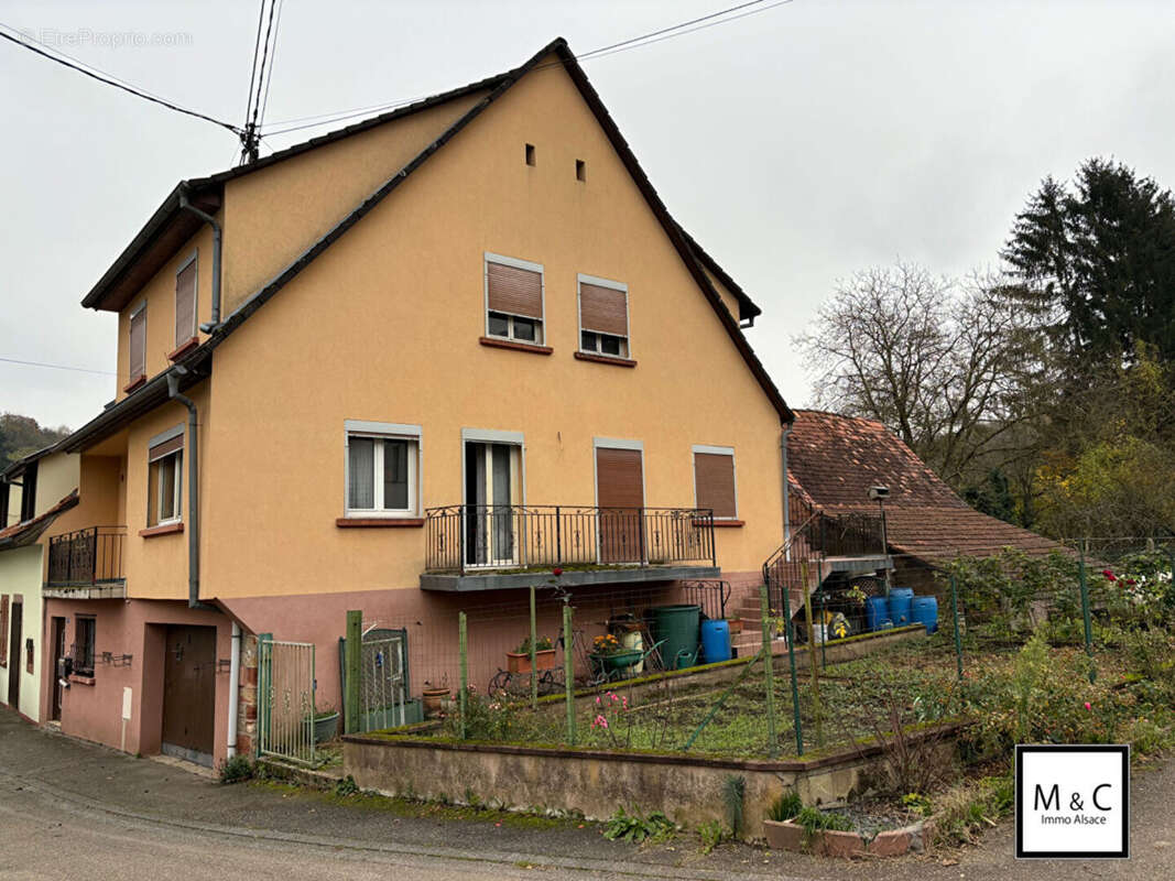 Maison à WISSEMBOURG