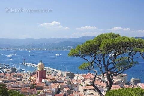 Terrain à SAINT-TROPEZ