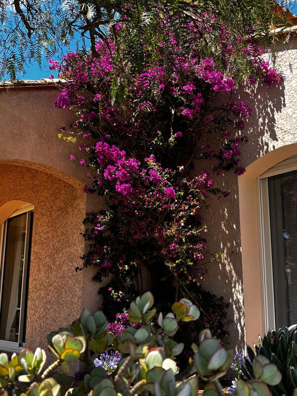 Maison à CANOHES