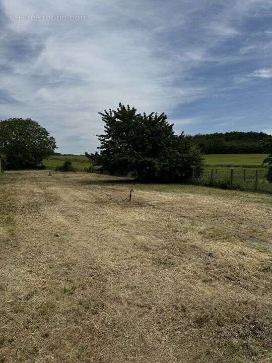 Terrain à VALPUISEAUX