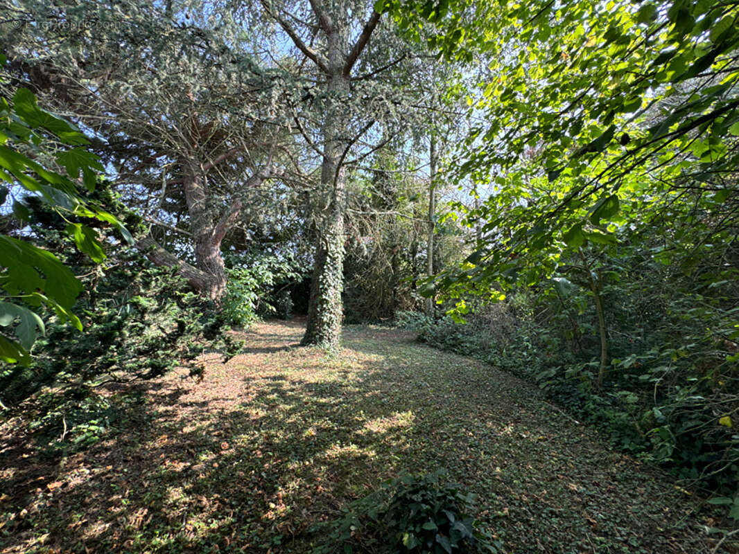 Maison à NEUVILLE-AUX-BOIS