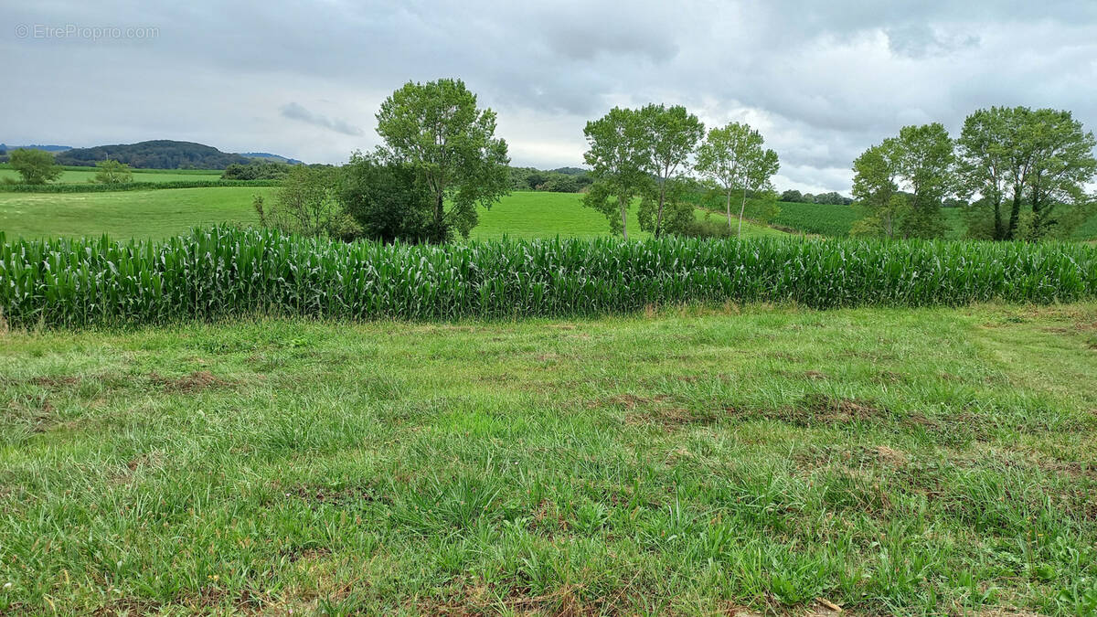 Terrain à AROUE-ITHOROTS-OLHAIBY