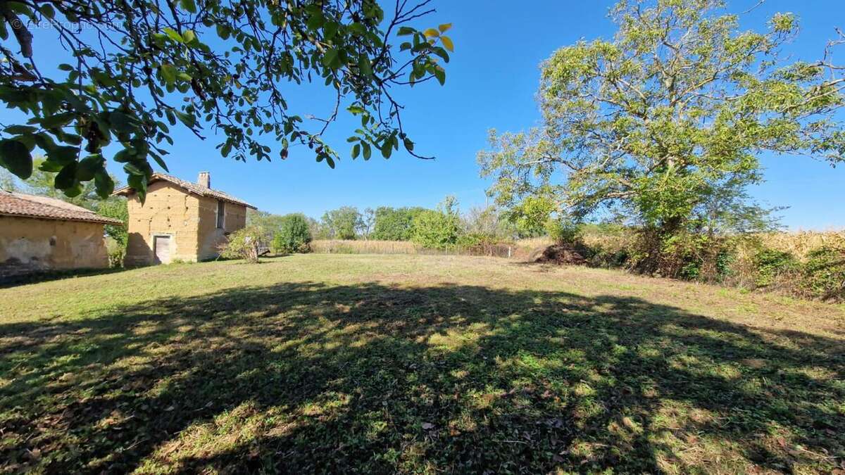 Photo 2 - Maison à MONTMERLE-SUR-SAONE