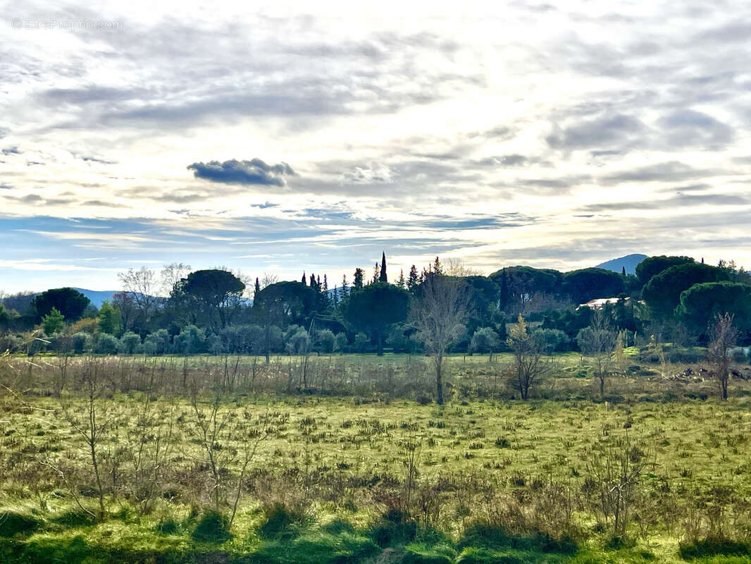 Maison à PUGET-SUR-ARGENS