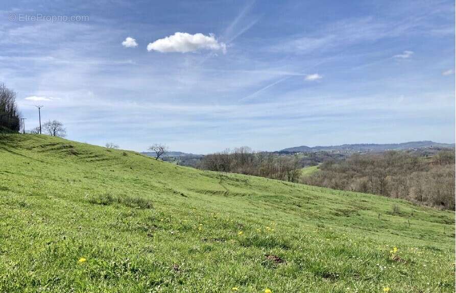 Terrain à ALLASSAC