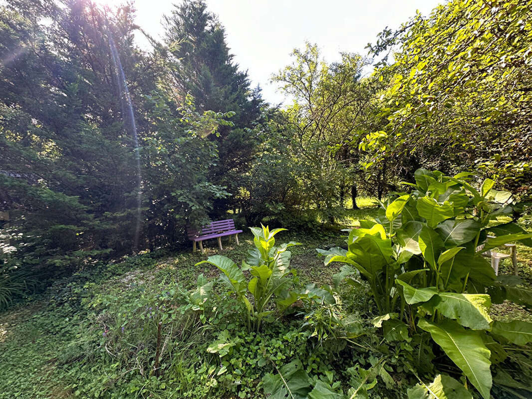 Terrain à BAR-LE-DUC