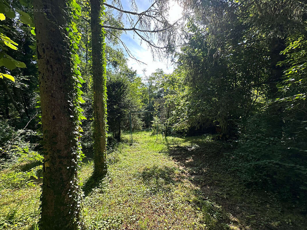 Terrain à BAR-LE-DUC