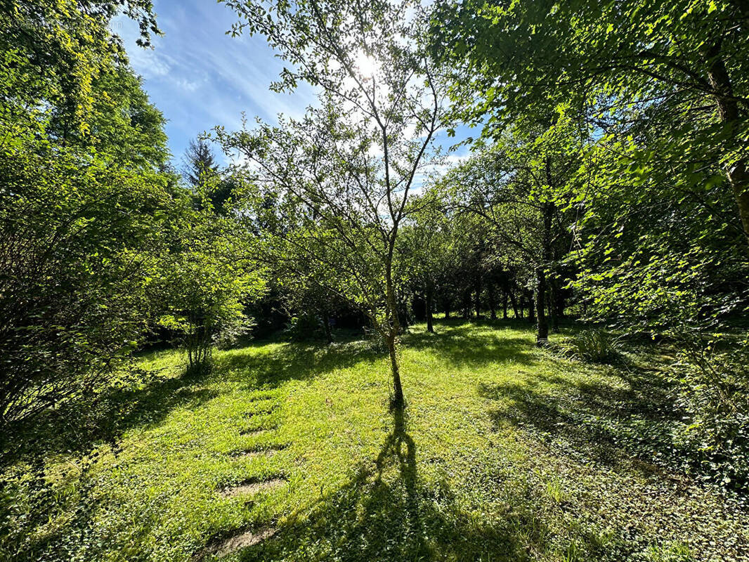 Terrain à BAR-LE-DUC