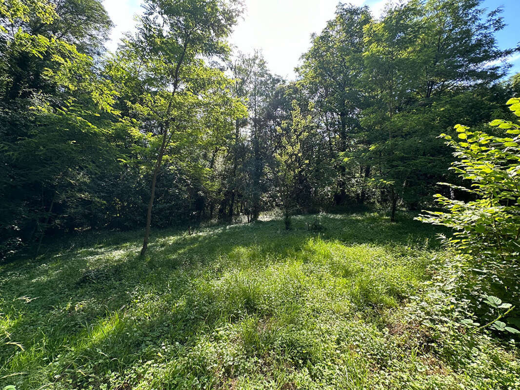 Terrain à BAR-LE-DUC