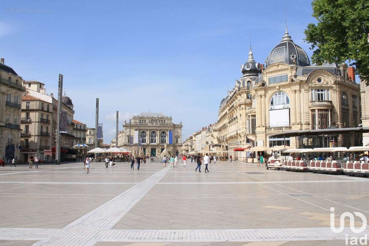 Photo 3 - Appartement à MONTPELLIER