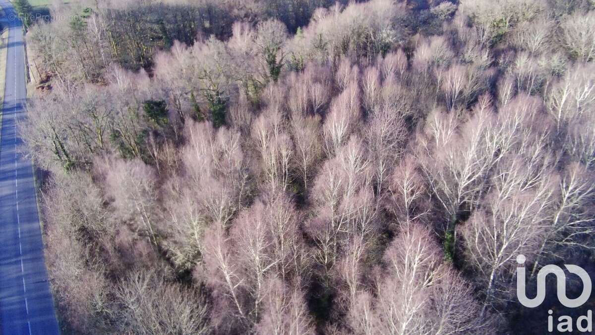 Photo 6 - Terrain à MARCILLAC-LA-CROISILLE