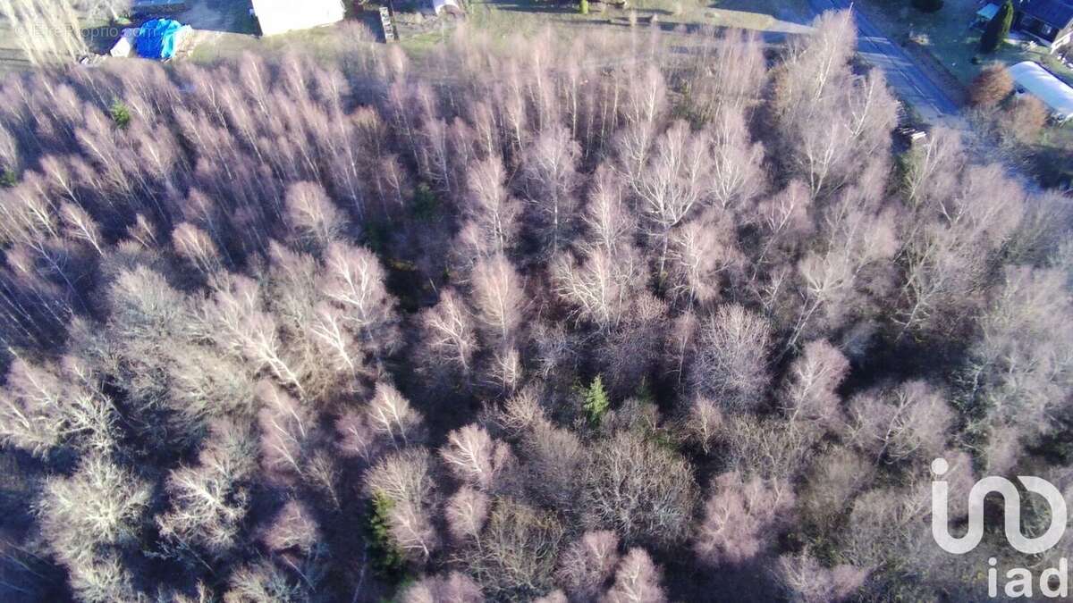 Photo 7 - Terrain à MARCILLAC-LA-CROISILLE