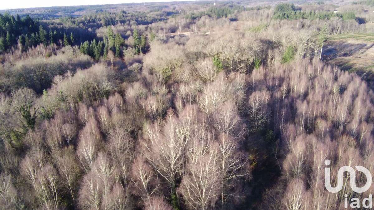 Photo 8 - Terrain à MARCILLAC-LA-CROISILLE