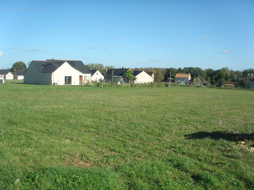 Terrain à MONTREUIL-BELLAY