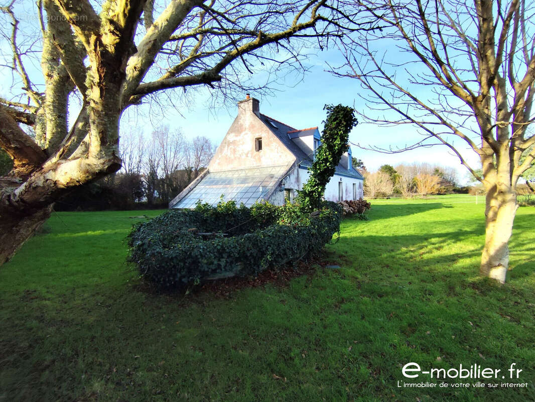 MAISON SUR VASTE TERRAIN AV - Maison à GROIX